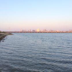 チニング！伝法大橋にて